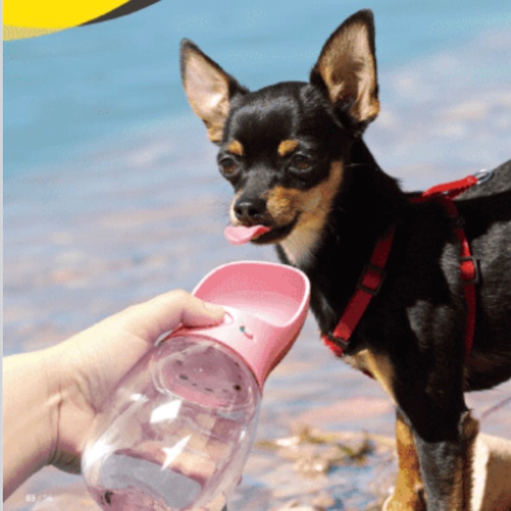 Pet Care Bottle